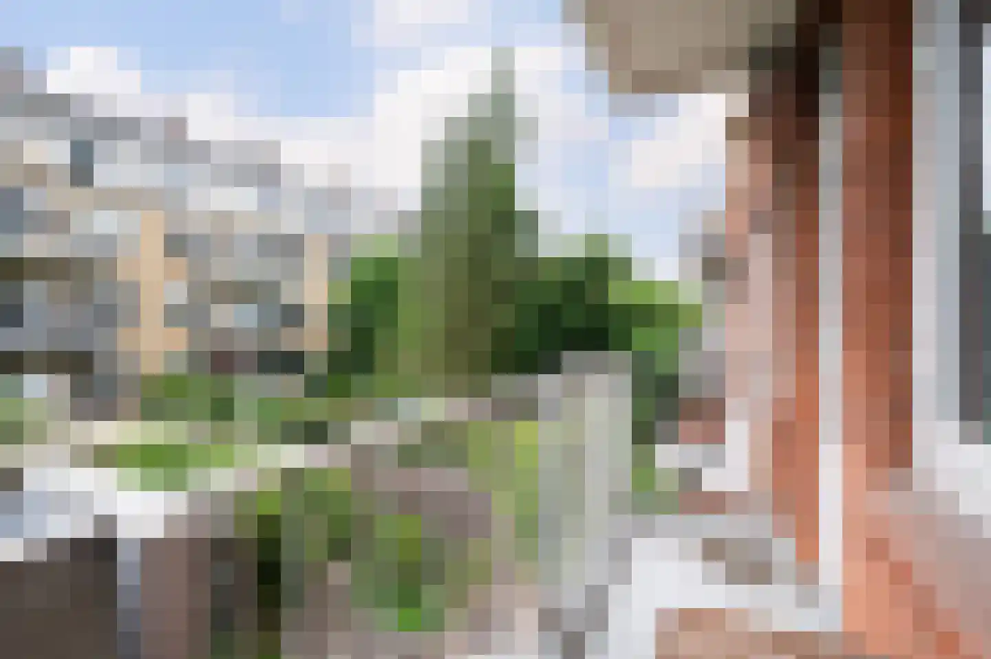 Hogerbeetsstraat 20 C Rotterdam thumbnail 29
