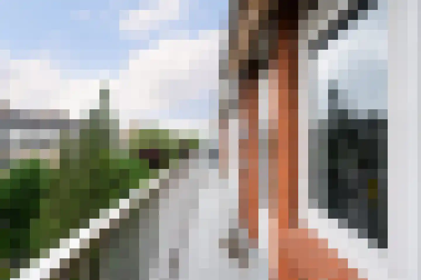 Hogerbeetsstraat 20 C Rotterdam thumbnail 30