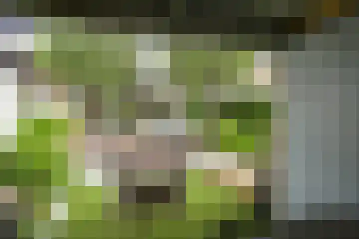 Hogerbeetsstraat 21 Wassenaar thumbnail 11