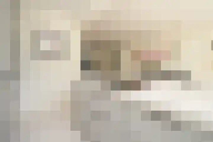 Hogerbeetsstraat 21 Wassenaar thumbnail 4