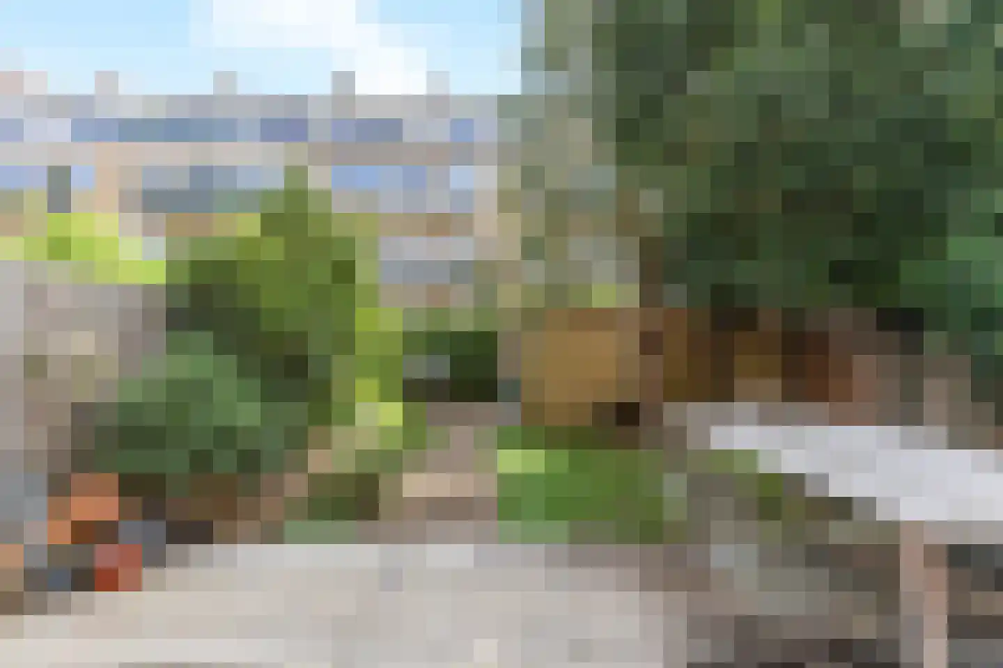 Hogerbeetsstraat 22 A Rotterdam thumbnail 12