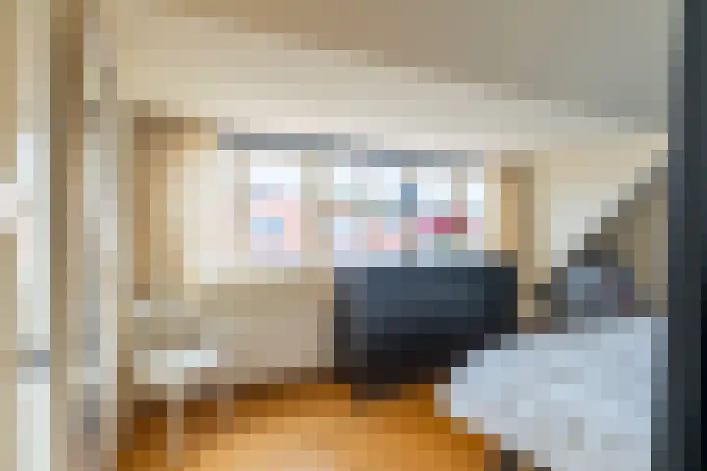 Hogerbeetsstraat 4 Leiden thumbnail 34