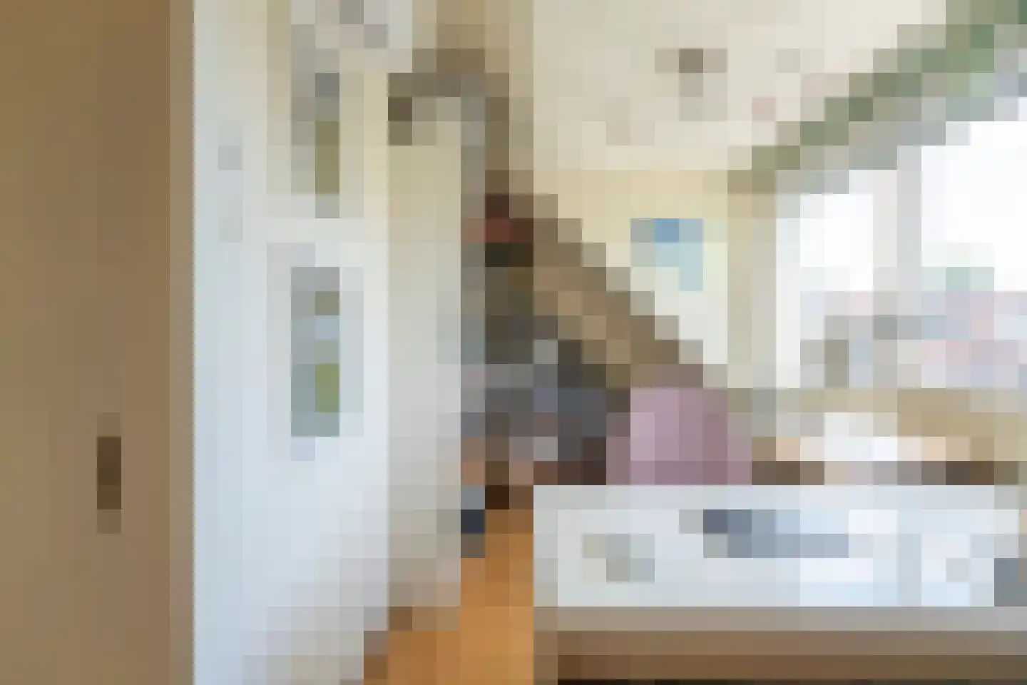 Hogerbeetsstraat 4 Leiden thumbnail 38