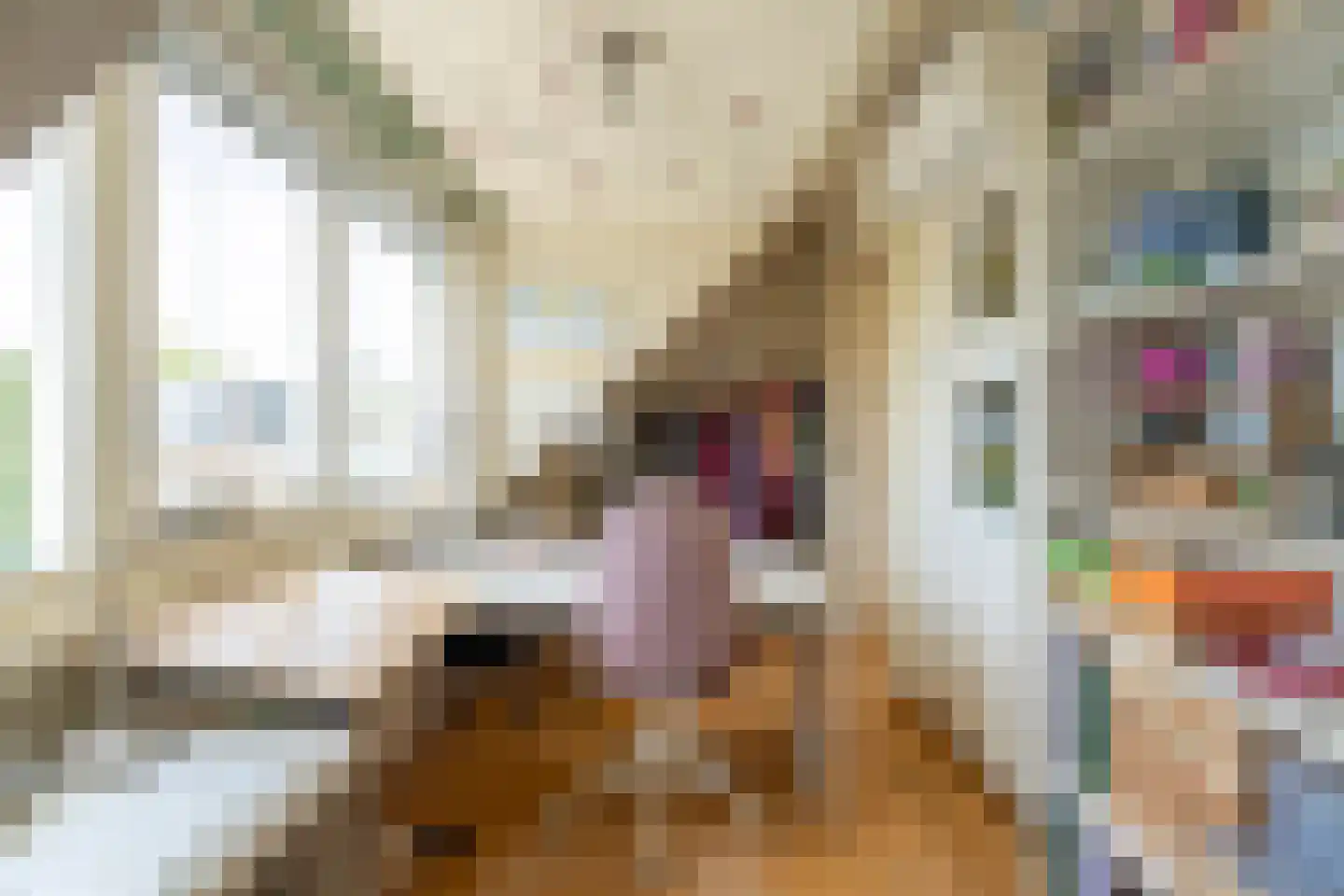 Hogerbeetsstraat 4 Leiden thumbnail 39