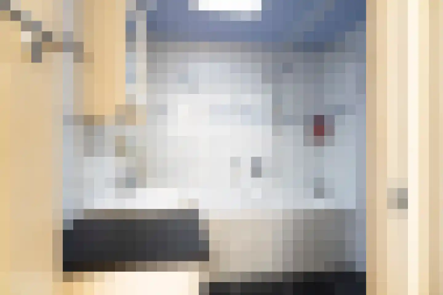 Hogerbeetsstraat 4 Leiden thumbnail 41