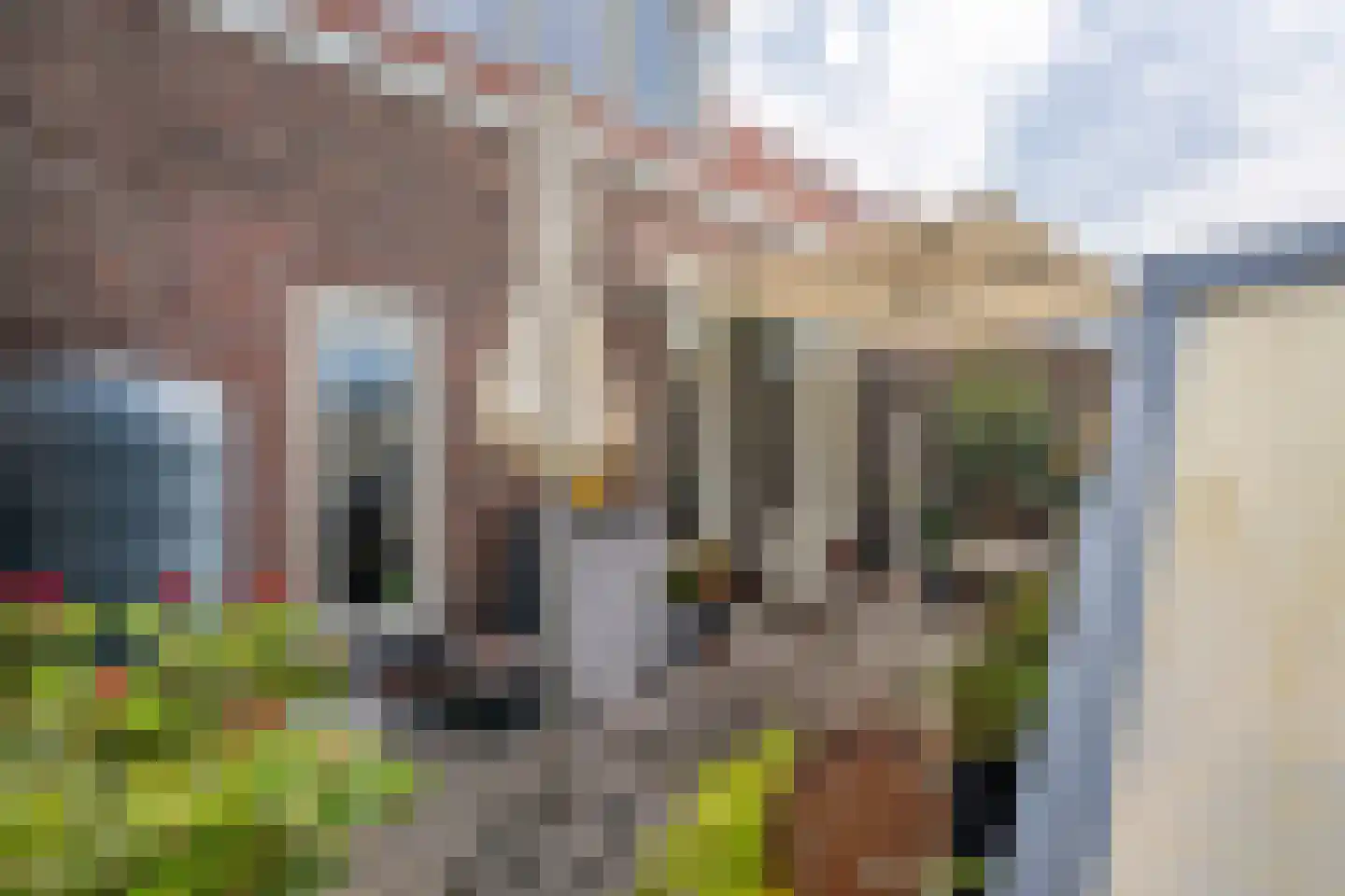 Hogerbeetsstraat 4 Leiden thumbnail 51