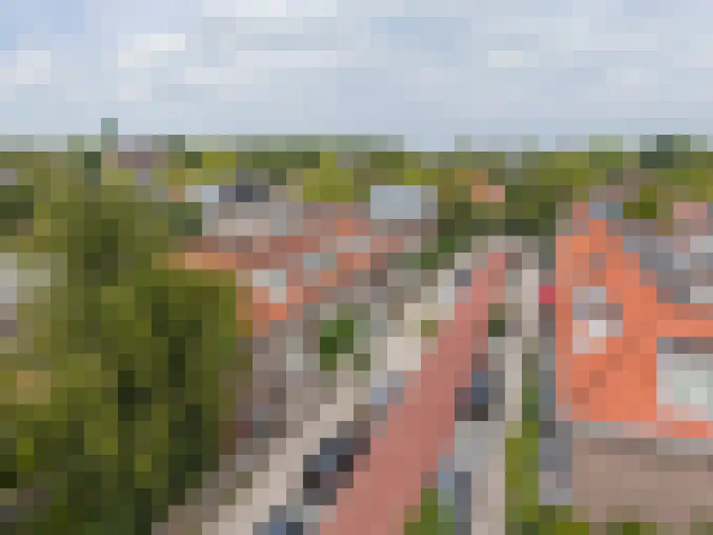 Hogerbeetsstraat 4 Leiden thumbnail 62