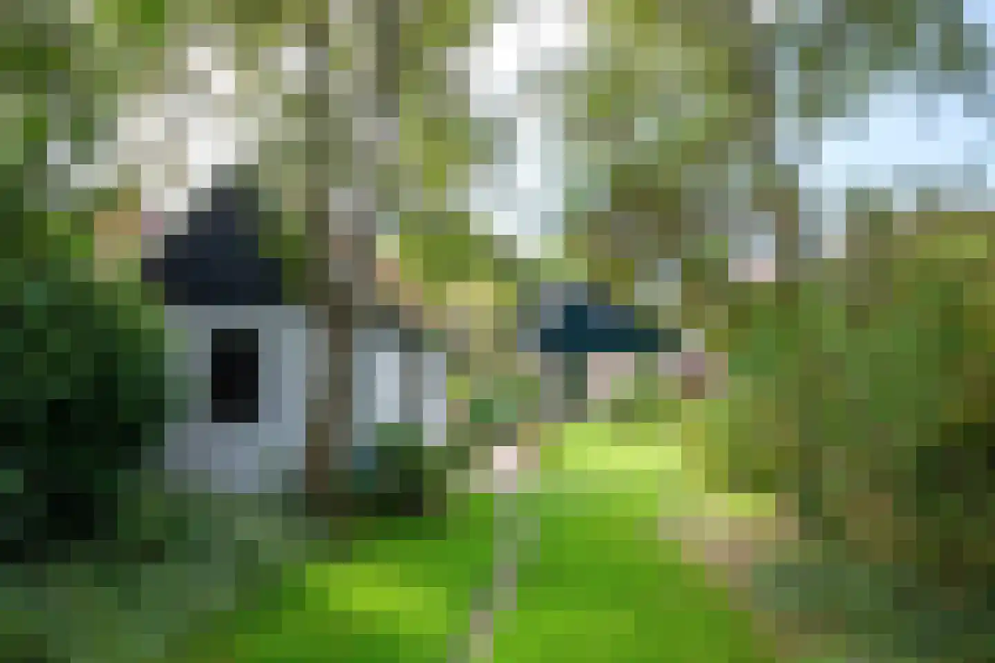 Hogereind 23 De Waal thumbnail 45