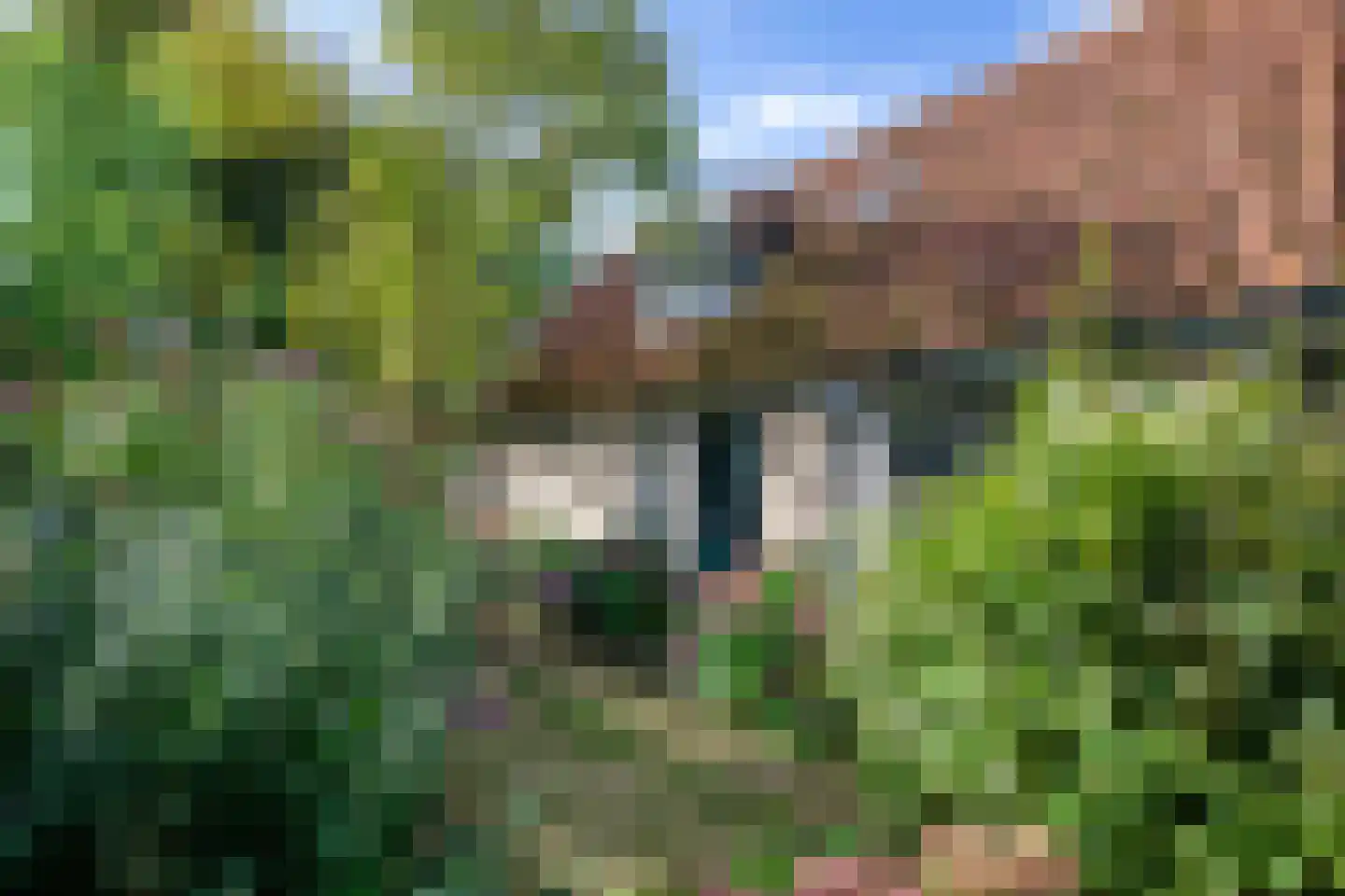 Hogereind 23 De Waal thumbnail 5