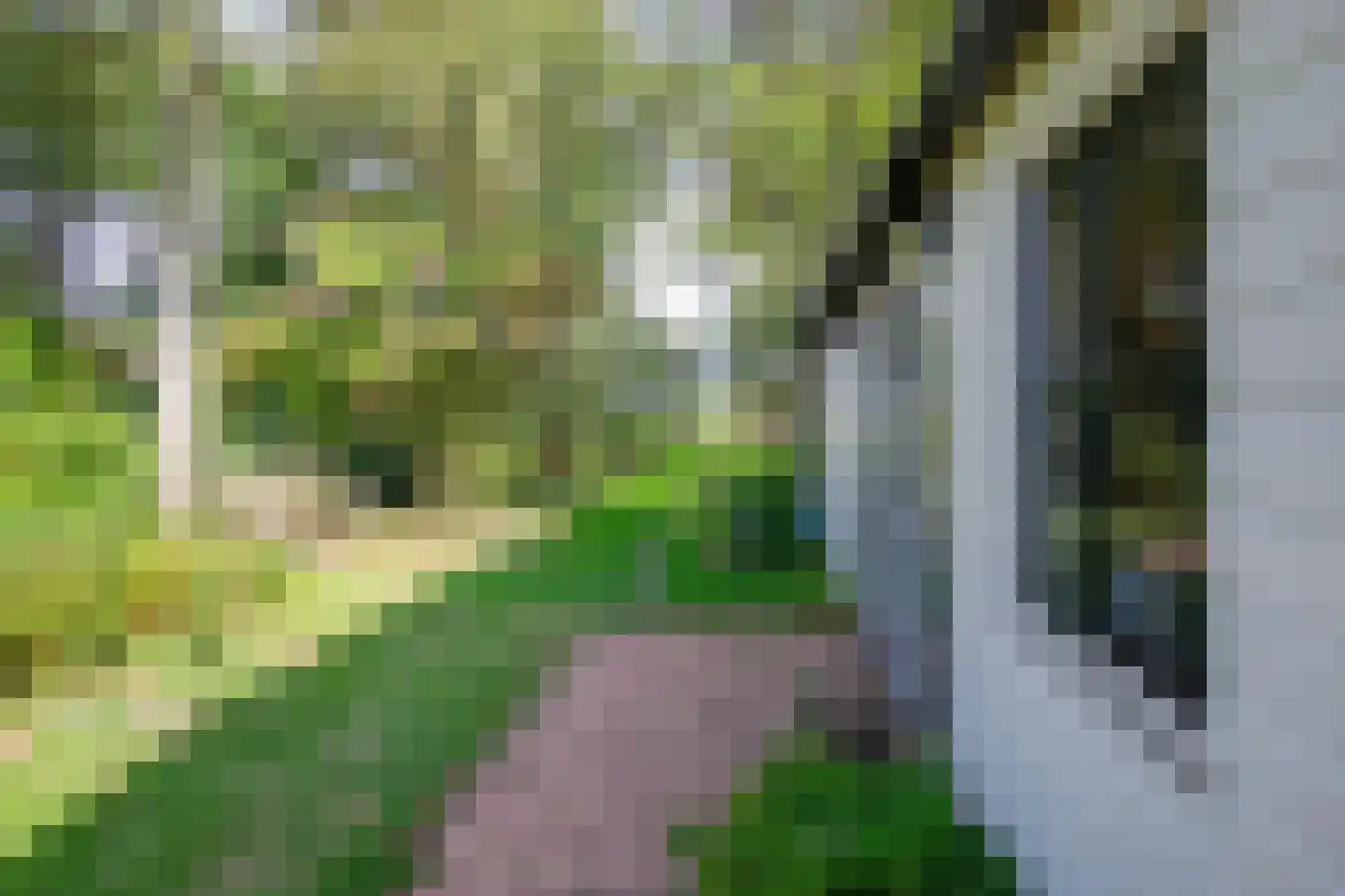 Hogereind 23 De Waal thumbnail 57