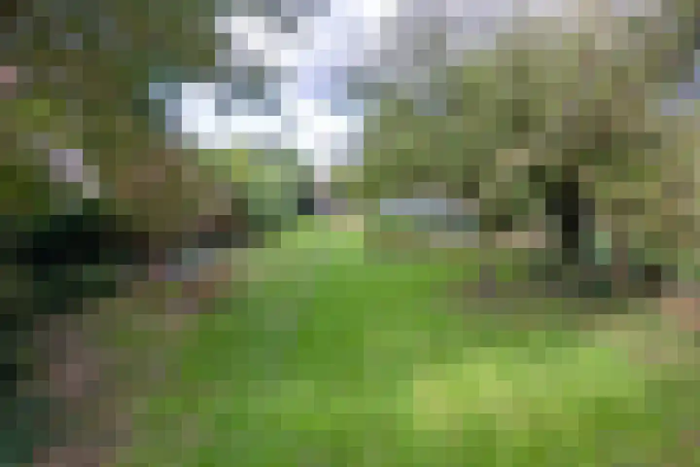 Hogereind 23 De Waal thumbnail 61