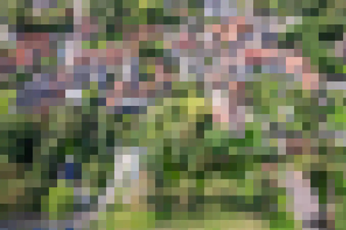 Hogereind 23 De Waal thumbnail 65
