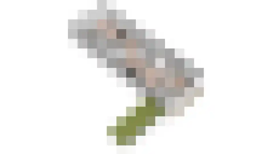 Hogereind 23 De Waal thumbnail 76