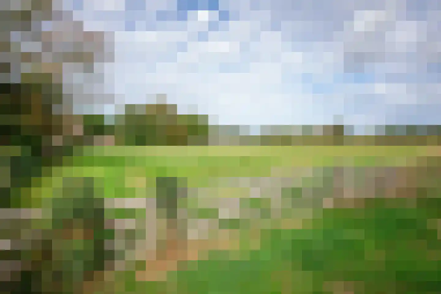 Hogereind 23 De Waal thumbnail 8