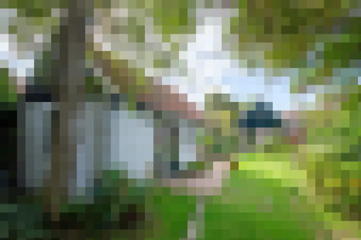 Hogereind 23 X De Waal thumbnail 52