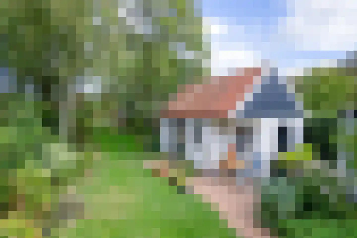 Hogereind 23 X De Waal thumbnail 55