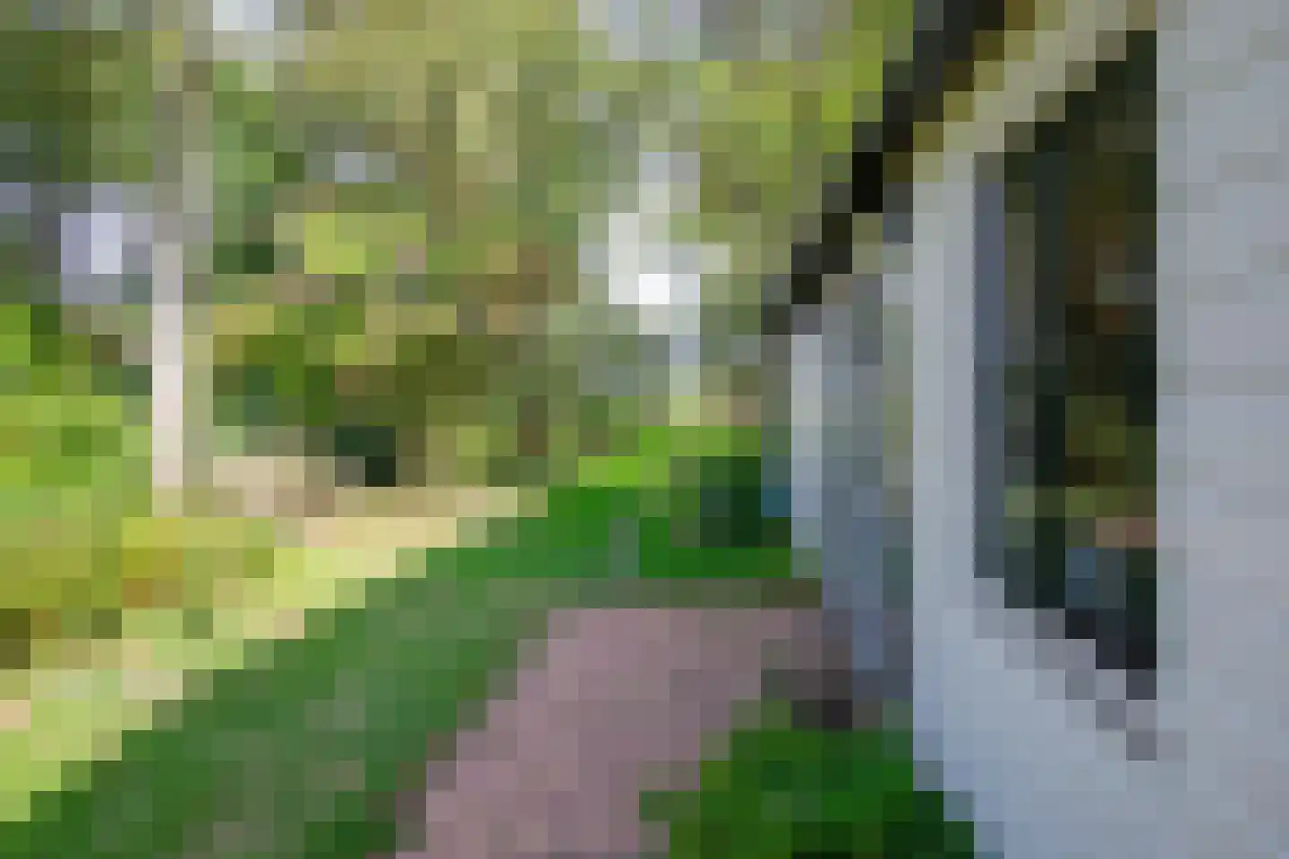 Hogereind 23 X De Waal thumbnail 56