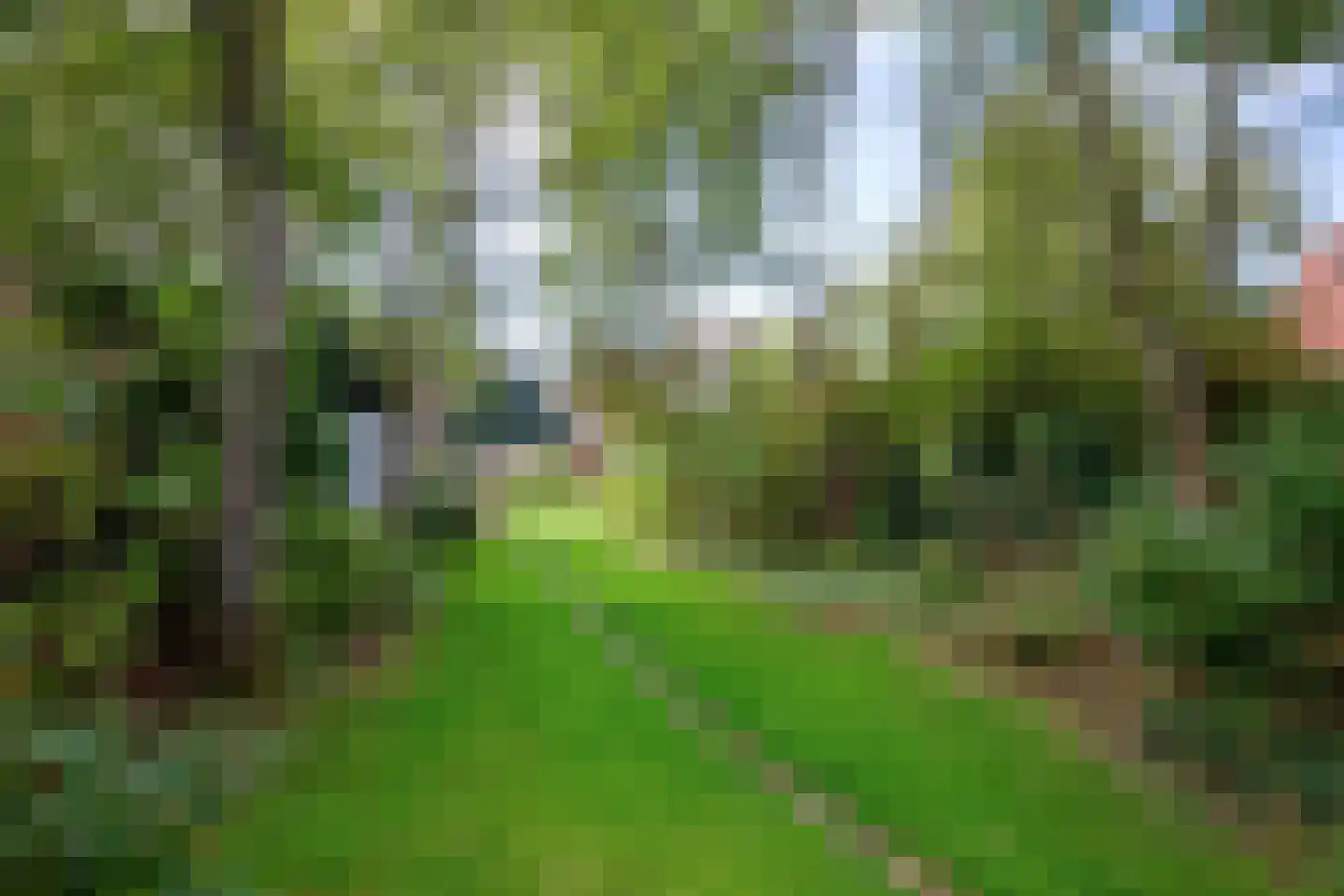 Hogereind 23 X De Waal thumbnail 58