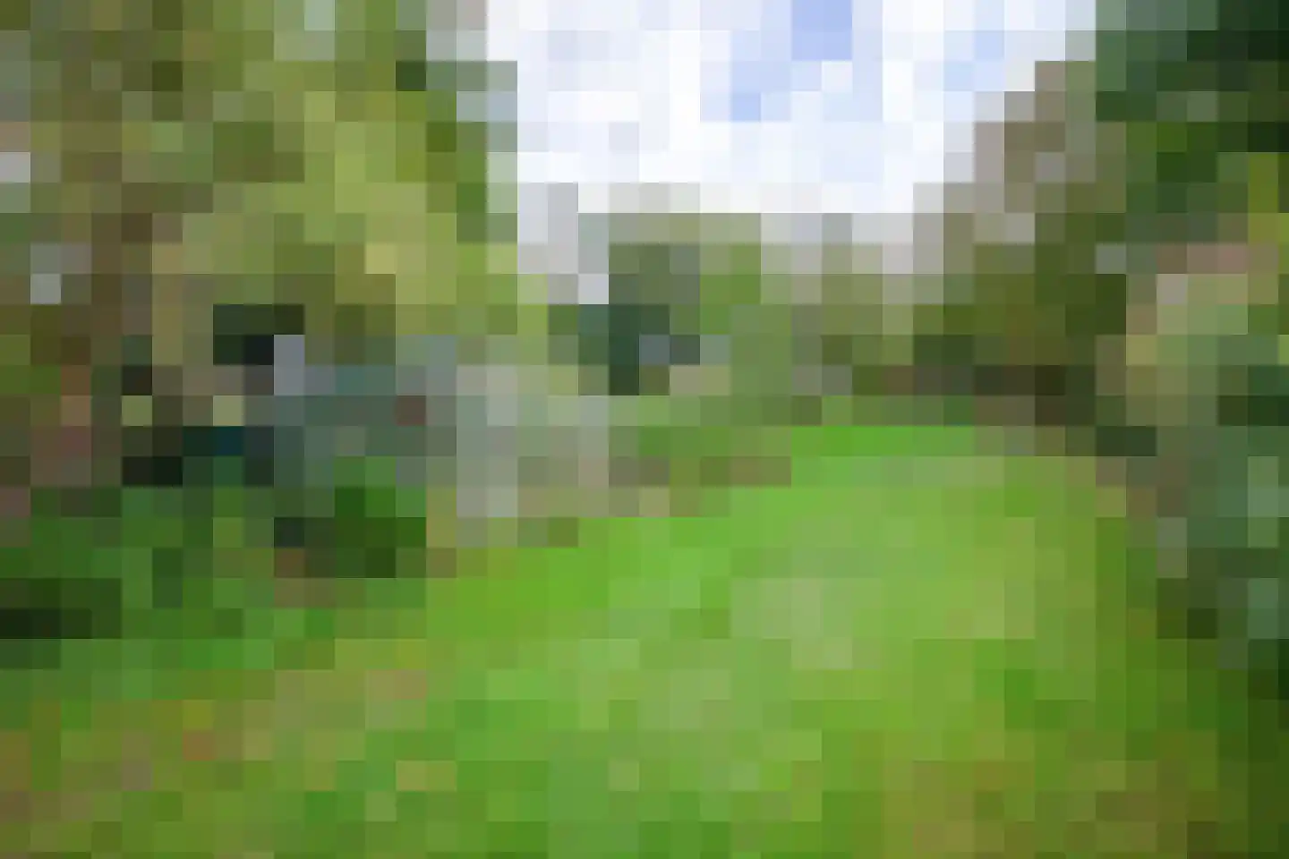 Hogereind 23 X De Waal thumbnail 59