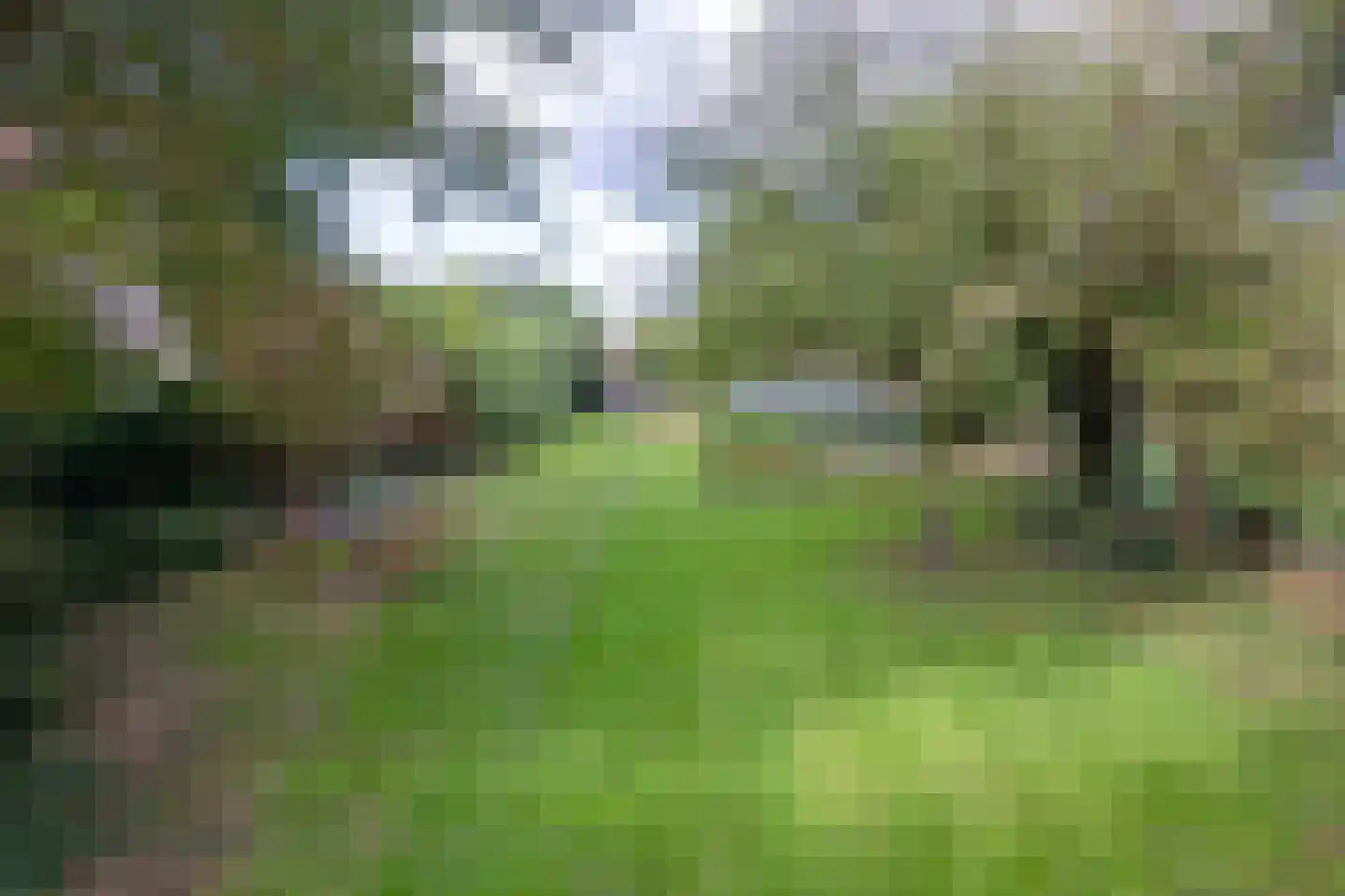 Hogereind 23 X De Waal thumbnail 60
