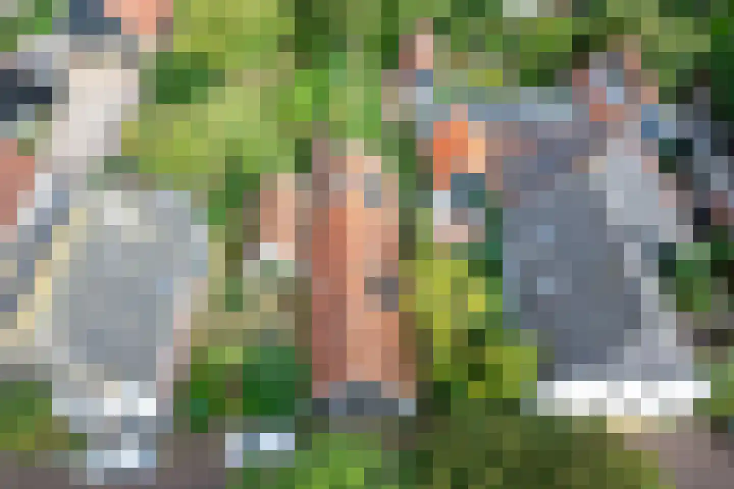 Hogereind 23 X De Waal thumbnail 65