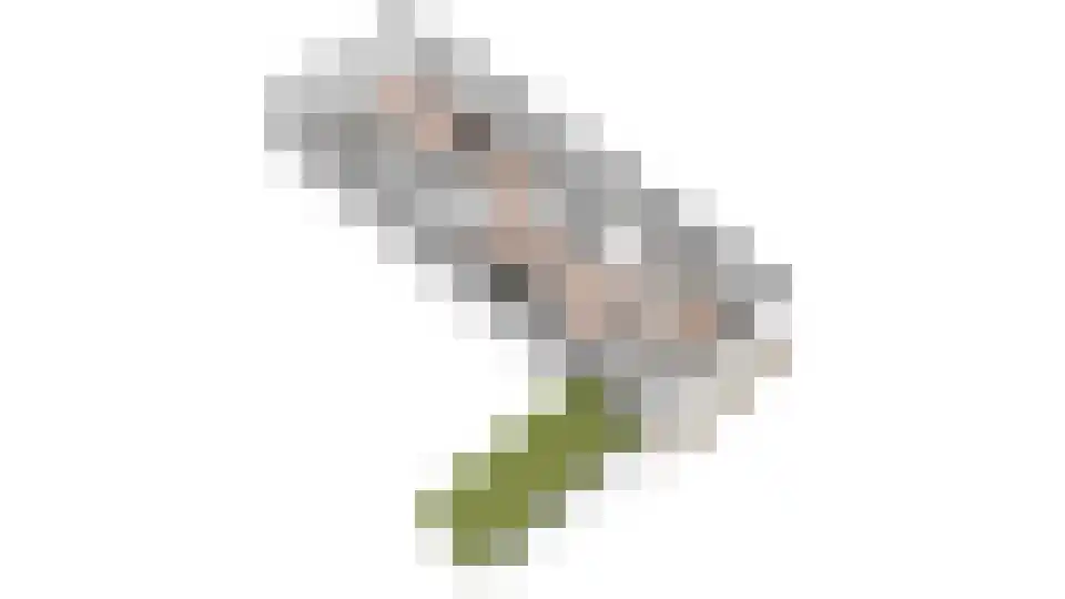 Hogereind 23 X De Waal thumbnail 75