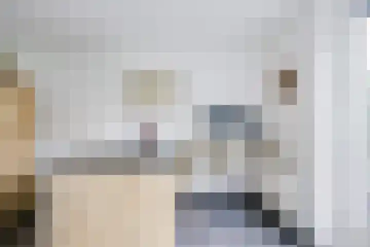 Hogerhoeve 37 Nieuwegein thumbnail 8