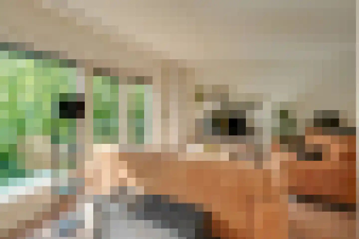 Hogerhoeve 39 Nieuwegein thumbnail 12