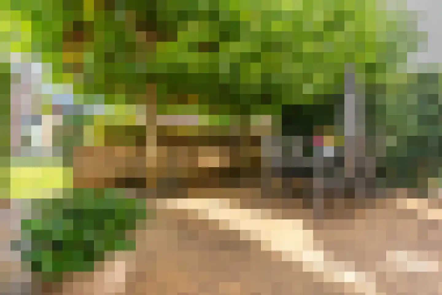 Hogerhoeve 39 Nieuwegein thumbnail 4