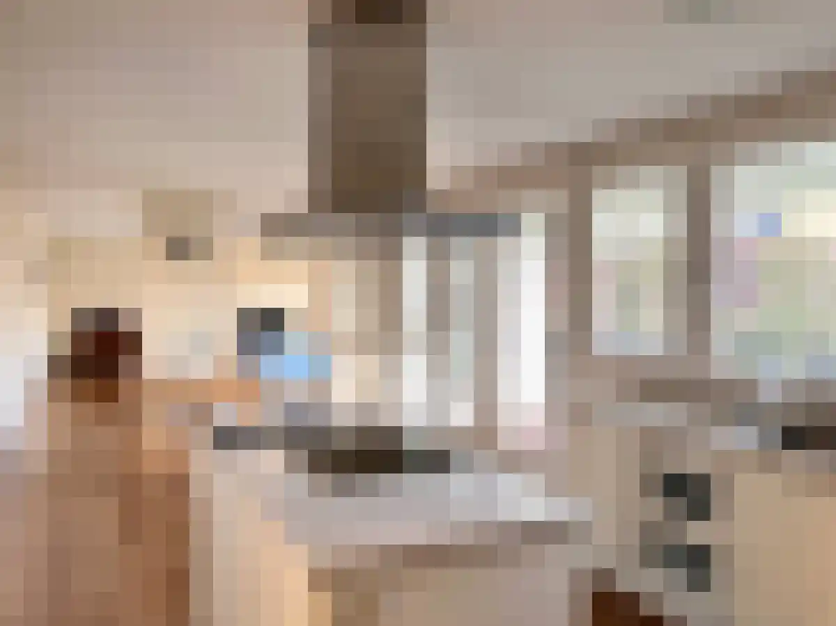 Hogerhoeve 7 Nieuwegein thumbnail 4