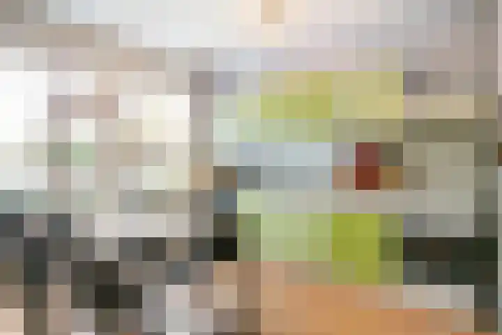 Hogerhorst 7 Ede thumbnail 13