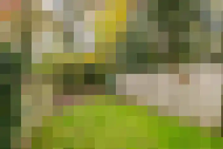 Hogerhorst 7 Ede thumbnail 25