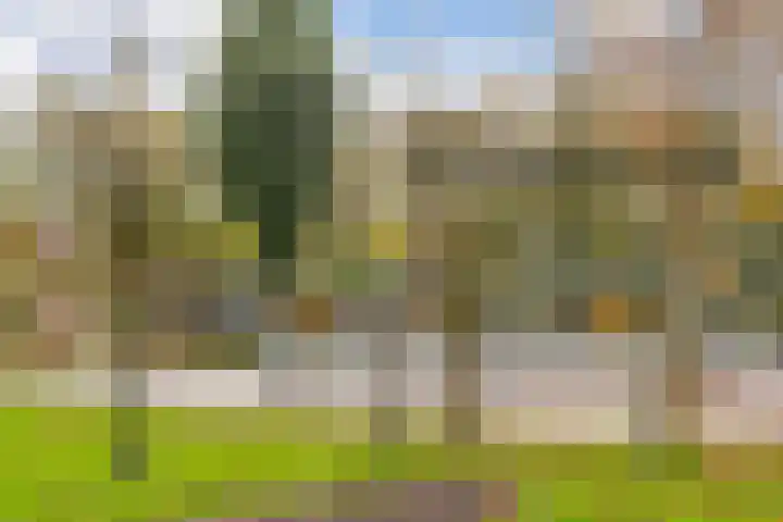 Hogerhorst 7 Ede thumbnail 27