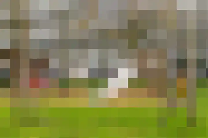 Hogerhorst 7 Ede thumbnail 28