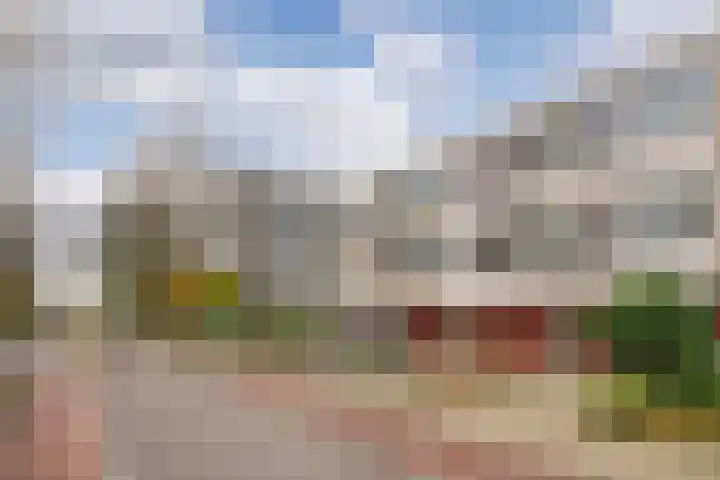 Hogerhorst 7 Ede thumbnail 29