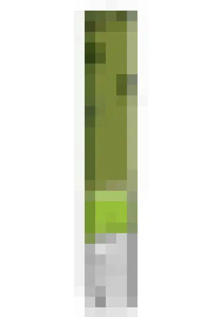 Hogerhorst 7 Ede thumbnail 33