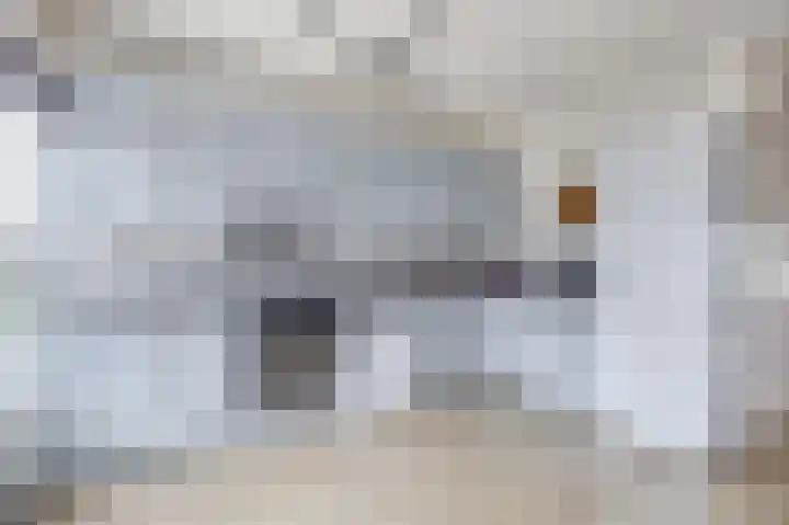 Hogerhorst 77 Ede thumbnail 15