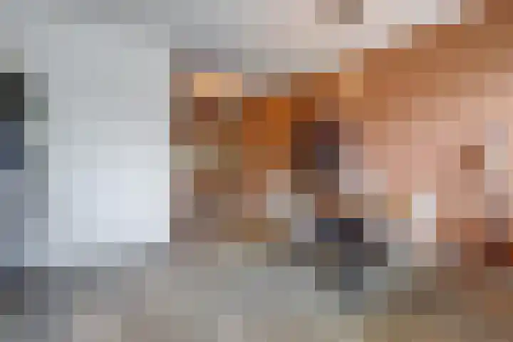 Hogerhorst 95 Ede thumbnail 24