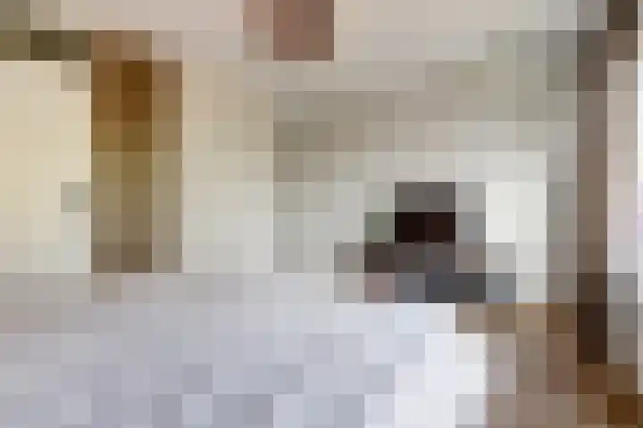 Hogerhorst 95 Ede thumbnail 28