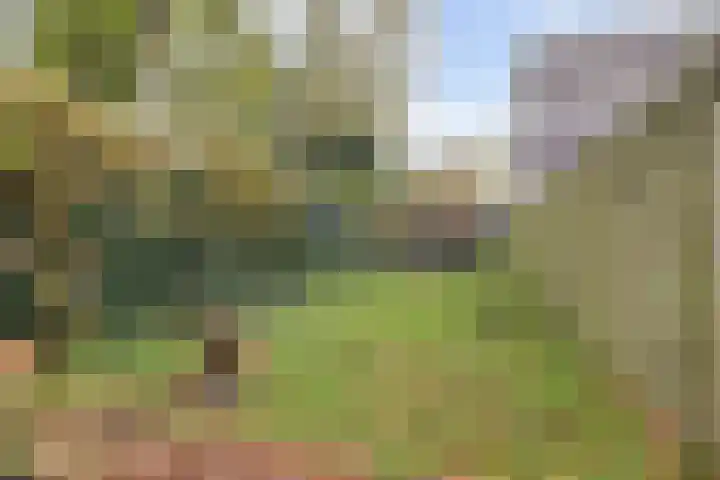 Hogerhorst 95 Ede thumbnail 38
