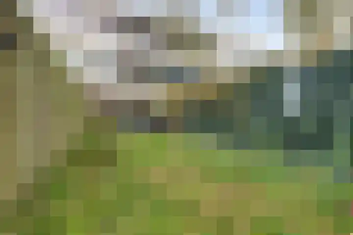 Hogerhorst 95 Ede thumbnail 39