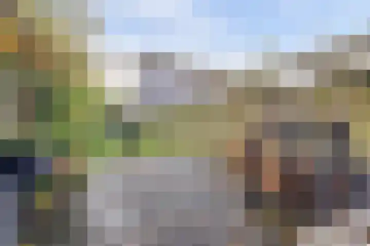 Hogerhorst 95 Ede thumbnail 4
