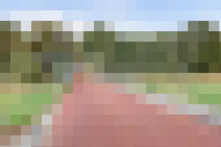 Hogerhorst 95 Ede thumbnail 40