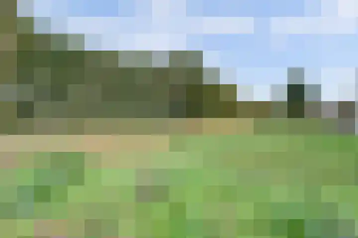 Hogerhorst 95 Ede thumbnail 41