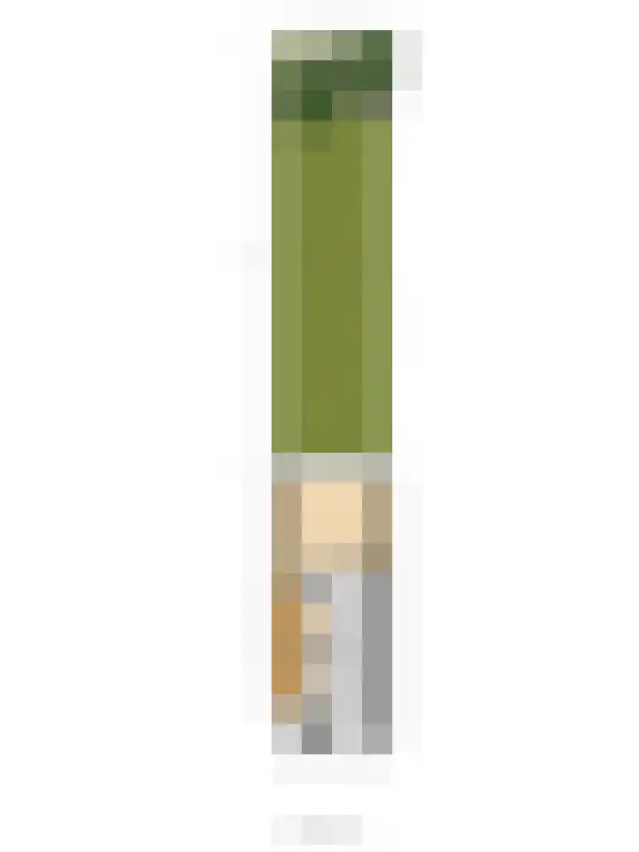 Hogerhorst 95 Ede thumbnail 47