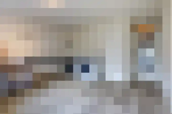 Hogerhorst 95 Ede thumbnail 9