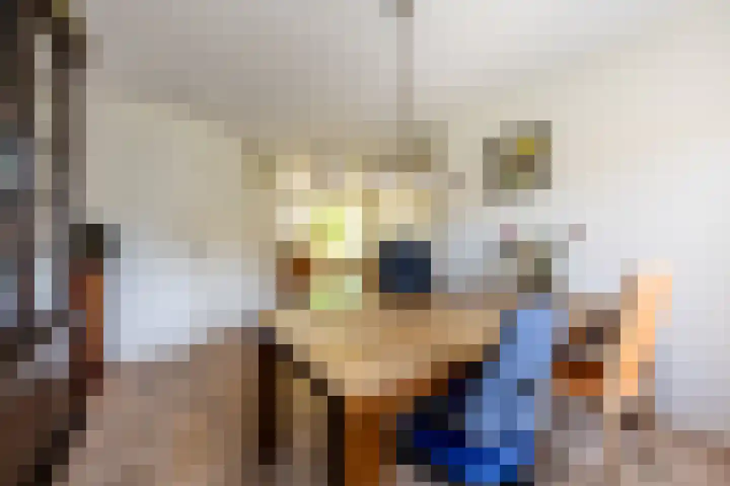Hogerlust 7 Middenbeemster thumbnail 15