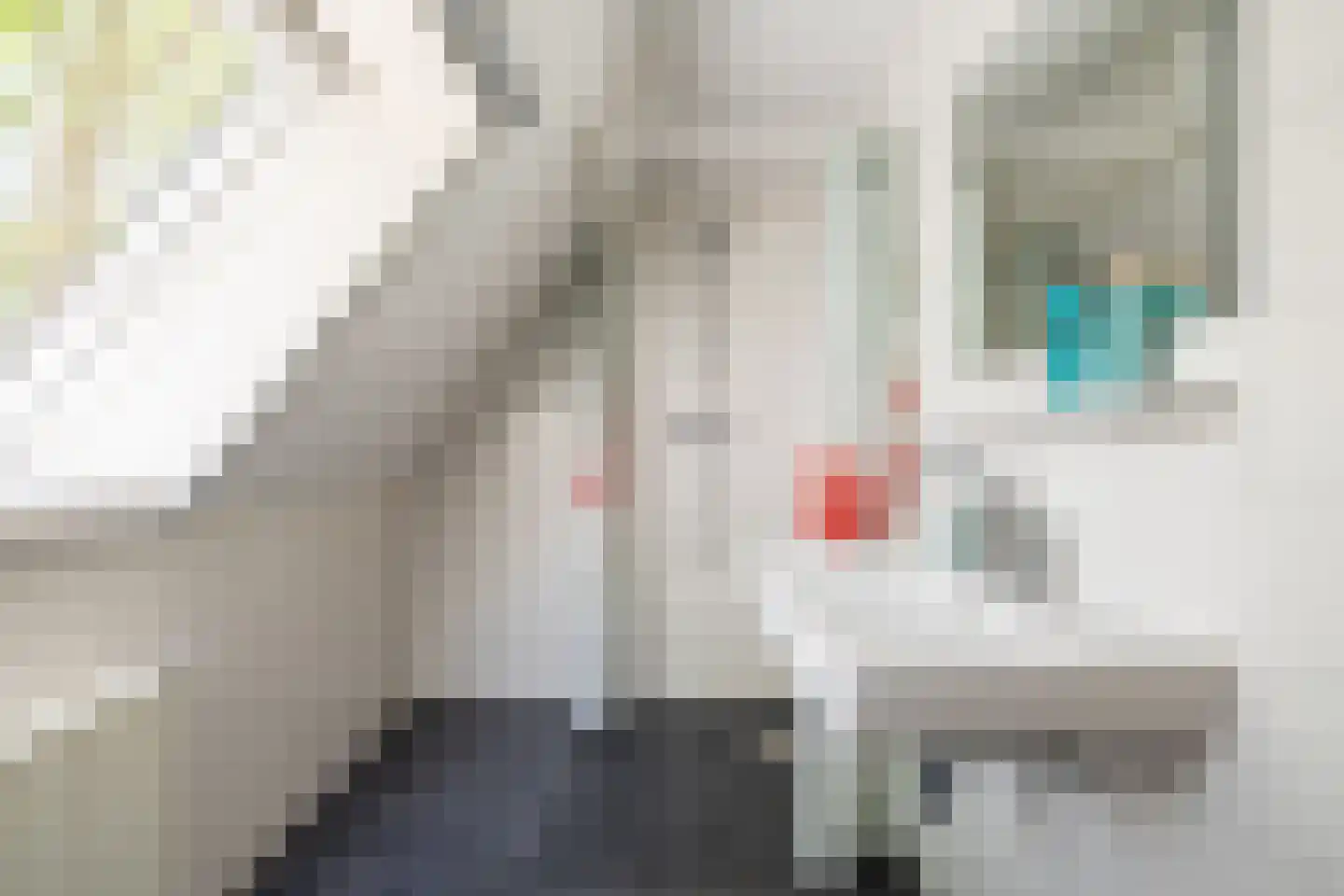 Hogerlust 7 Middenbeemster thumbnail 29