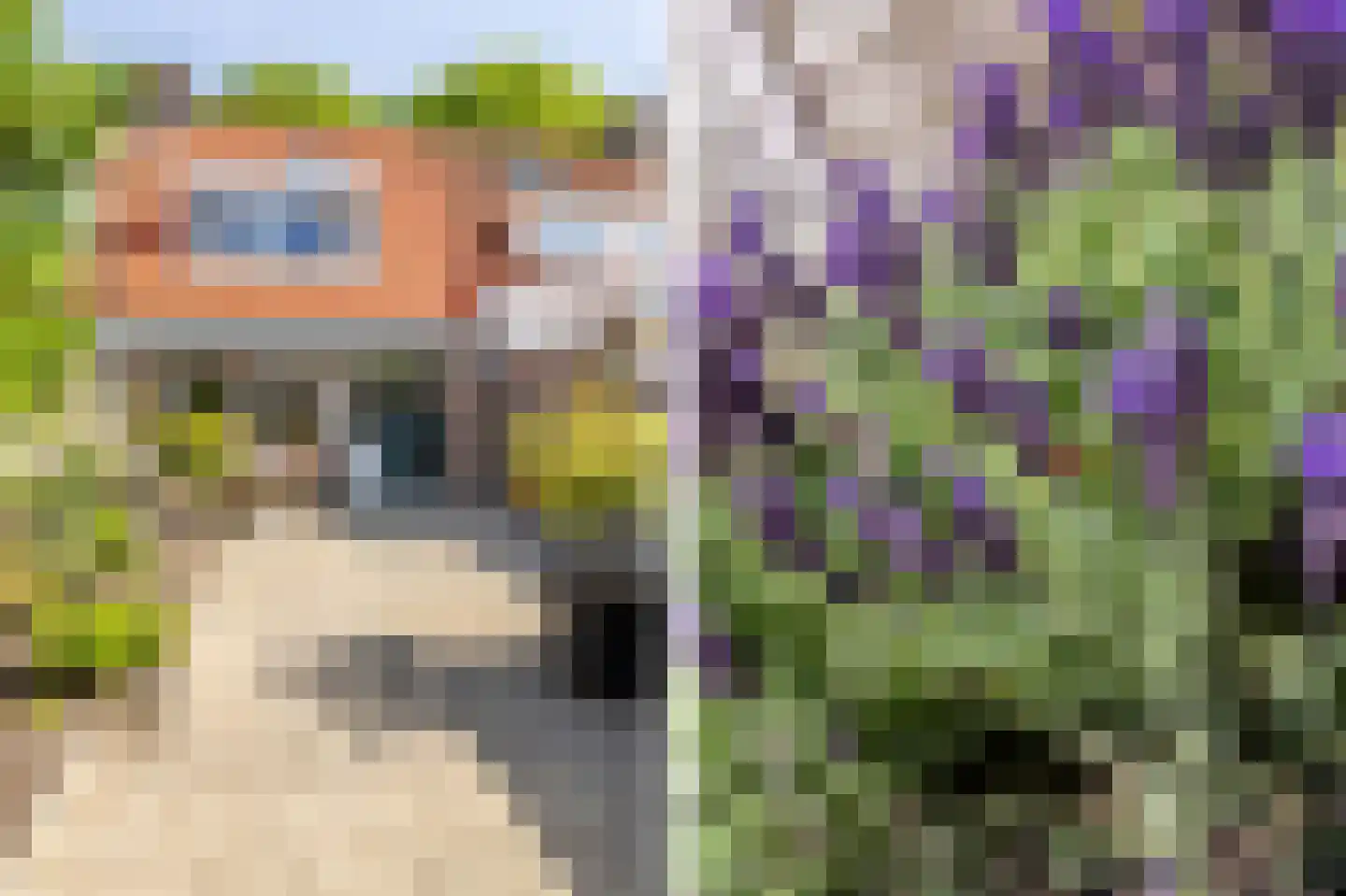 Hogerlust 7 Middenbeemster thumbnail 4