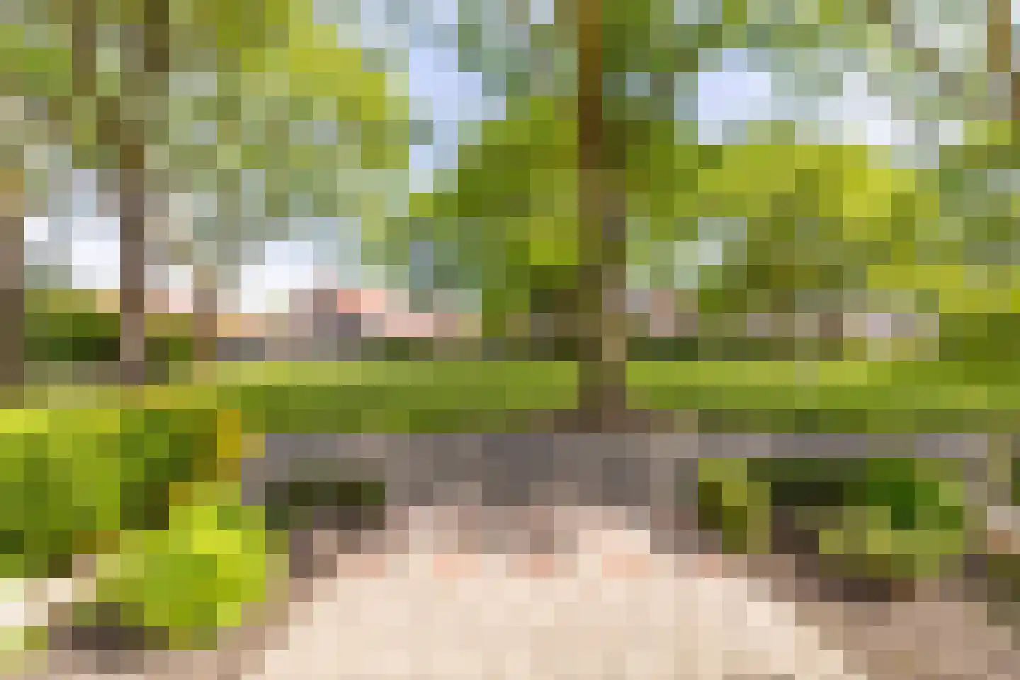 Hogerlust 7 Middenbeemster thumbnail 42